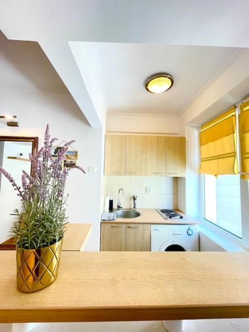 Boutique Apartment In The Bucharest City Center Zewnętrze zdjęcie